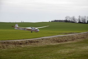 Bocian im Landeanflug