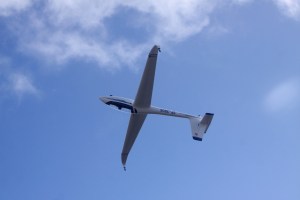 Auch invertet macht der Perkoz eine gute Figur